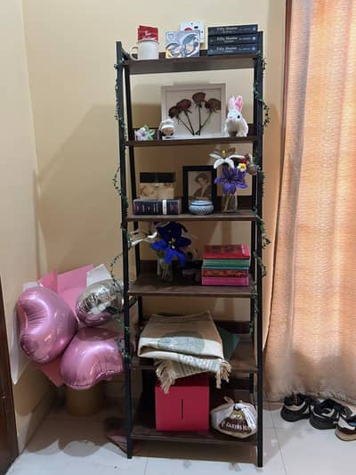 6-Tier Book Shelf / Ladder style.