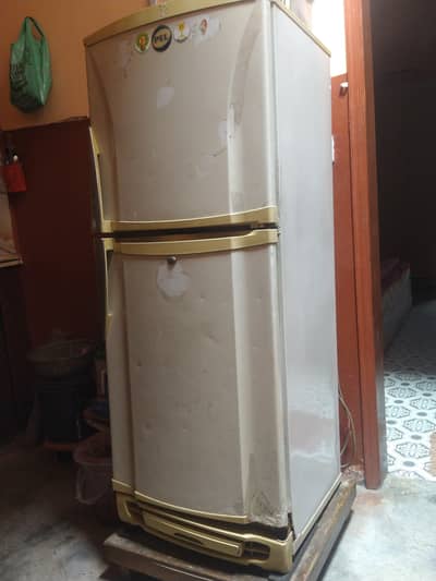 PEL Refrigerator 2 Door