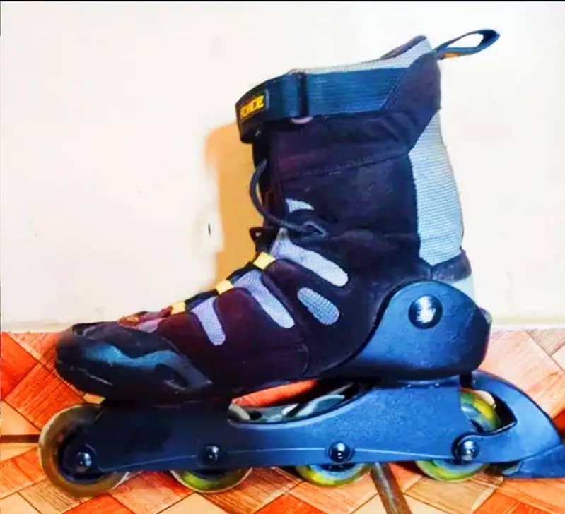 Skates 1