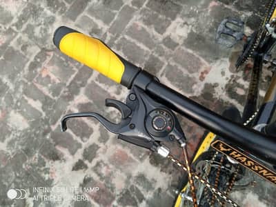 Giant bicycle full size