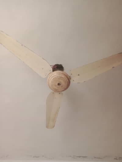 Used Ceiling Fan – Fully Working