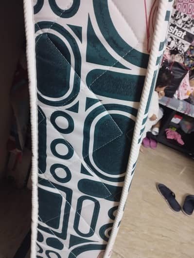 Master Molty Foam Spine Support