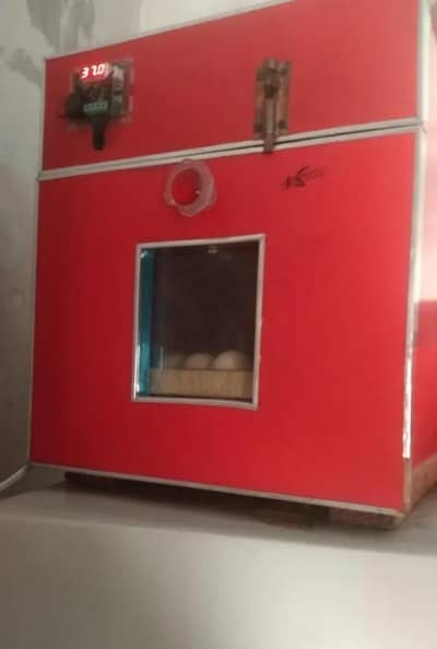 incubator for sale