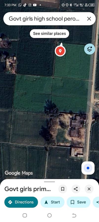 couple need house made and other  domastic work