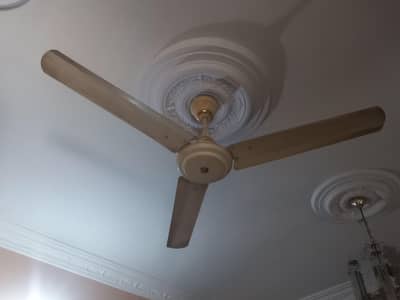 super Asia Fan for Sale