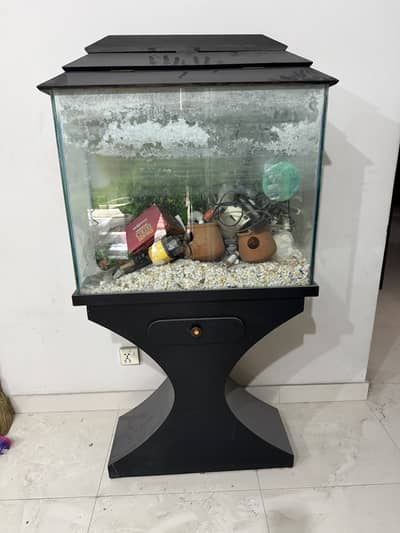 Fish Aquarium