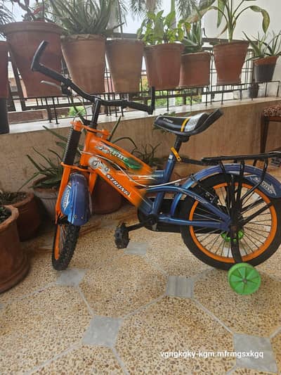 Bicycle for Children