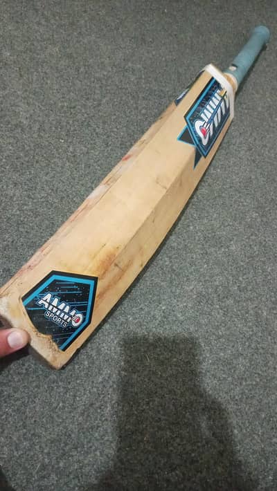 Ammo English Willow Cricket Bat