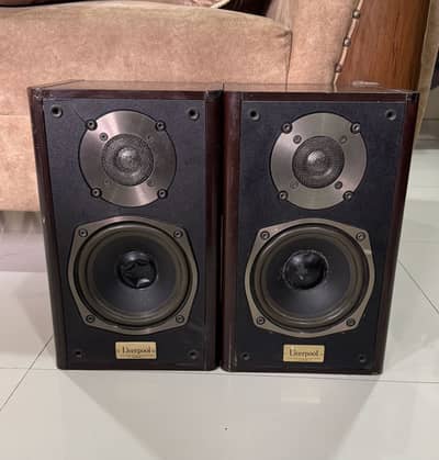 Liverpool Speaker D-200