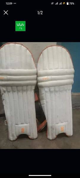 Cricket pad used