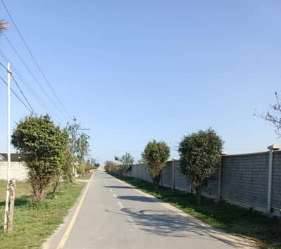 Farmhouse Plot For Sale In IVY Farms - 55 Lac Per Kanal | Peaceful Living