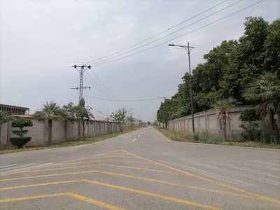 Looking For A Residential Plot In Farmers Farms Lahore