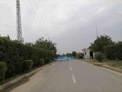 Unoccupied Residential Plot Of 5 Kanal Is Available For Sale In IVY Farms Prime Location