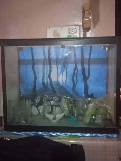 2.5 feet aquarium 2 feet hight  8mm  glass