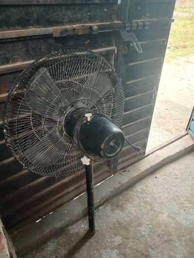 farshi pankha hai  motor is ki copr me hai 03259453451