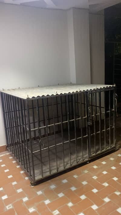 Iron cage for dogs on sell