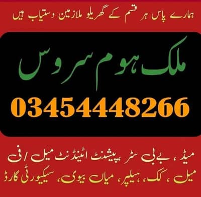 PROFESSIONAL MAID, BABY SITTER, PATIENT ATTENDENT, COOK, HELPER