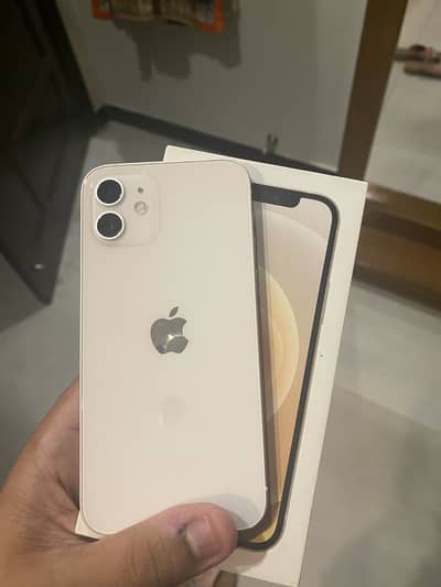 iphone 12 white pta approved