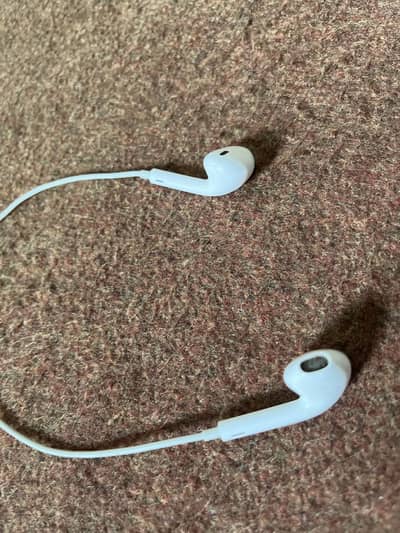 APPLE EARPHONES