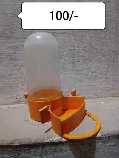 Hens & Parrot Feeder Pots