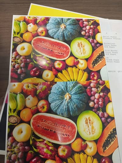 Epson L805 Photo Printer For sale