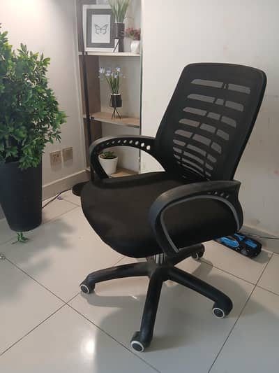 6 pcs excutive rolling chairs