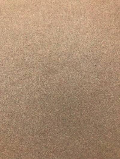 11 ft x 18 ft Carpet with foam