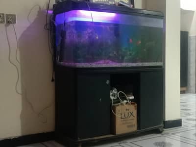 branded Aquarium For sale