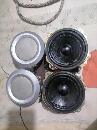 speaker 4
