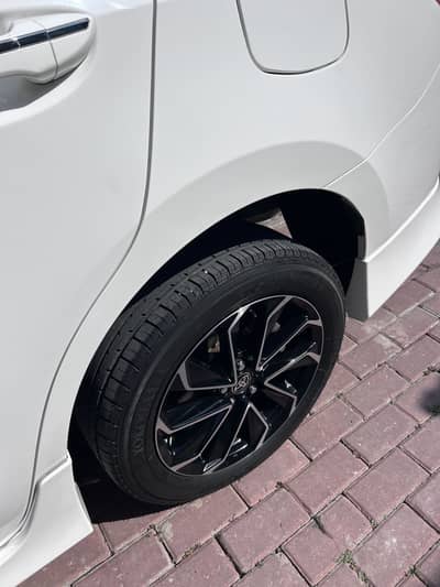 Bumper to bumper jeniun