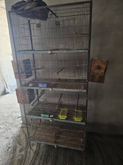 Parrot cage 10/10 condition