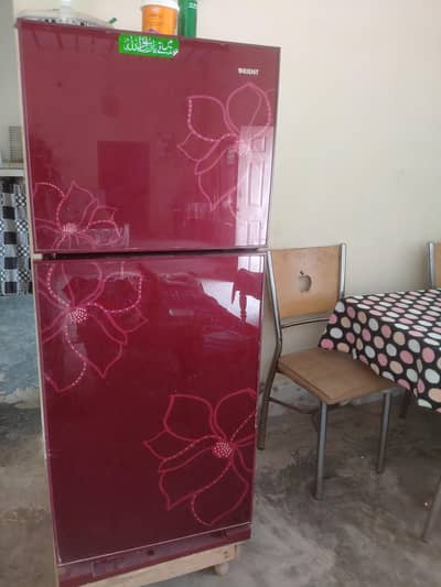 Orient Fridge Glassdoor