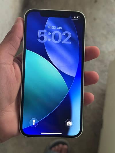 Iphone 12 factory unlocked