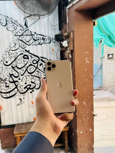 11 Pro Max 64GB JV 84 Health Waterpack