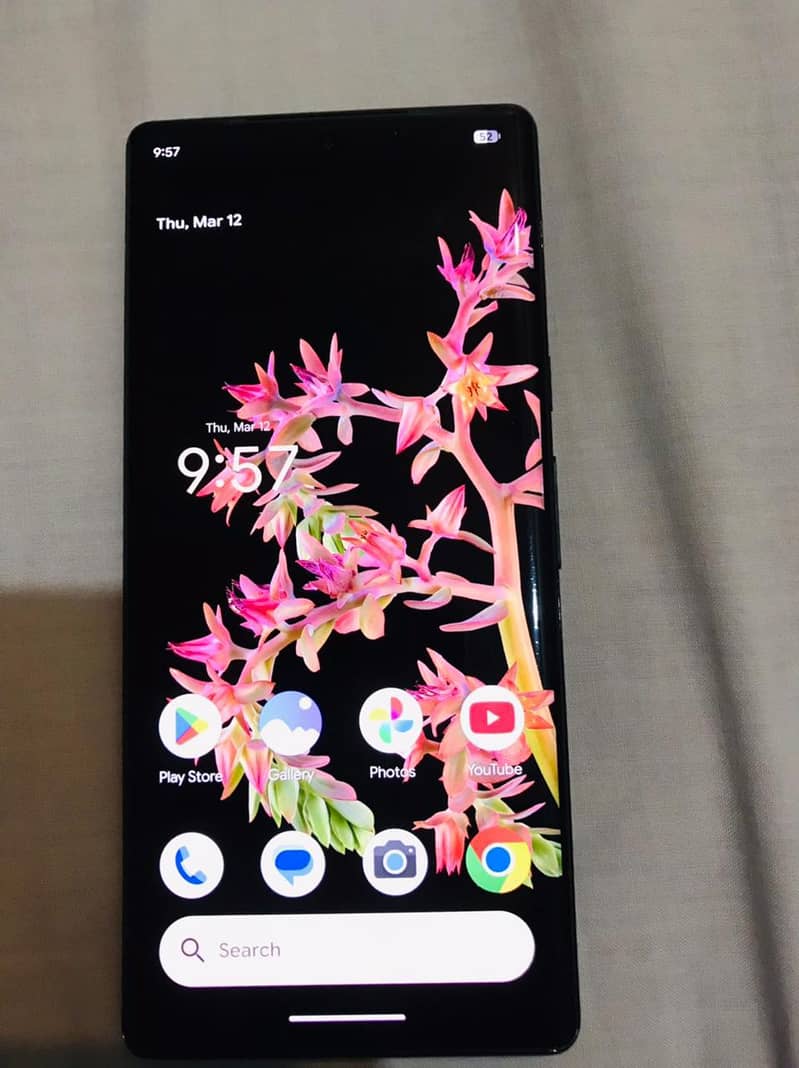 google pixel 6 pro 1