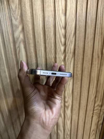 iPhone 15 Pro Max Factory Unlocked