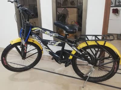 kids Bicycle 20 inch