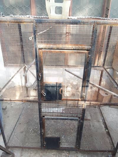 cage for sale