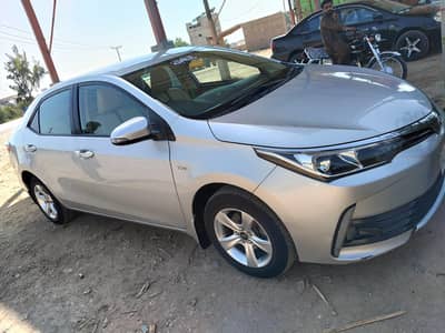 Bumper to bumper genuine