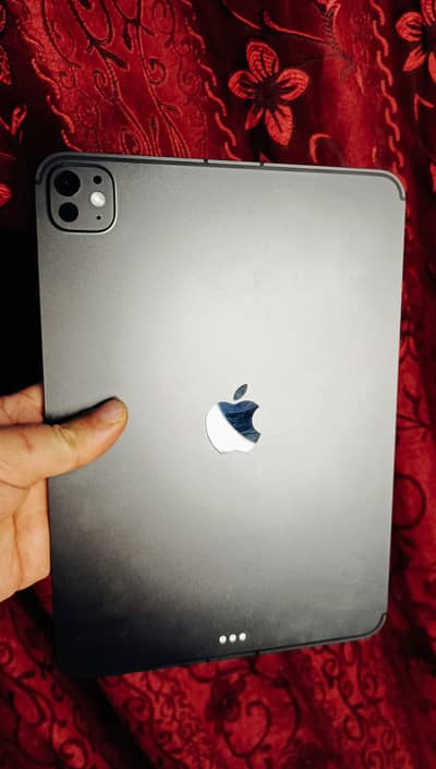 iPAD PRO M5 11 MONTHS WARRANTY APPLE IPAD