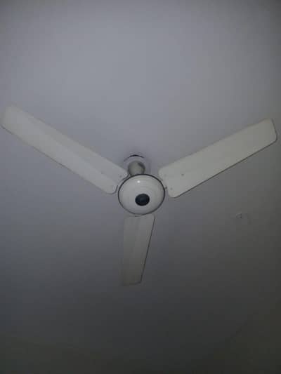 PAK FAN CEELING FAN