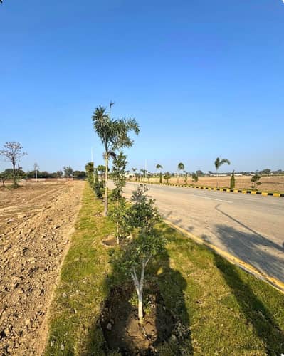 Lahore Organic Farms Society Located on Main Barki Road, Lahore.