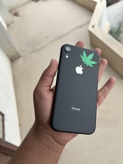 iPhone XR