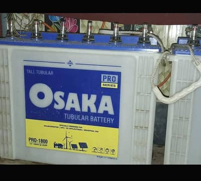 Osaka tall tubular batteries Pro 1800- 185 AH ( 2 batteries)