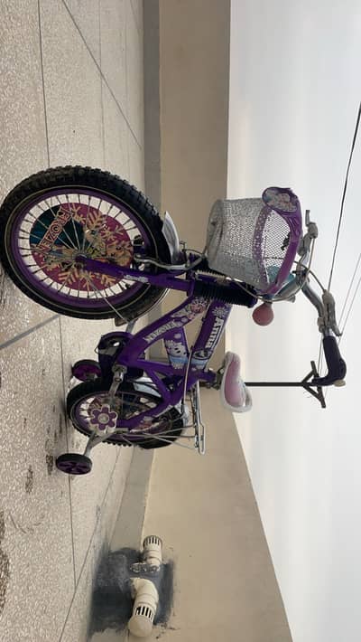 Kids Frozen Bicycle (Purple) with Training Wheels – Good Condition