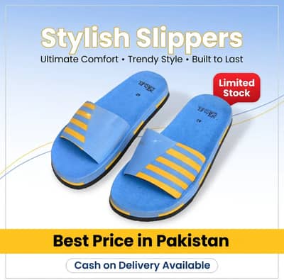 Blue Stripe Slipper Shoes by Black Camel,