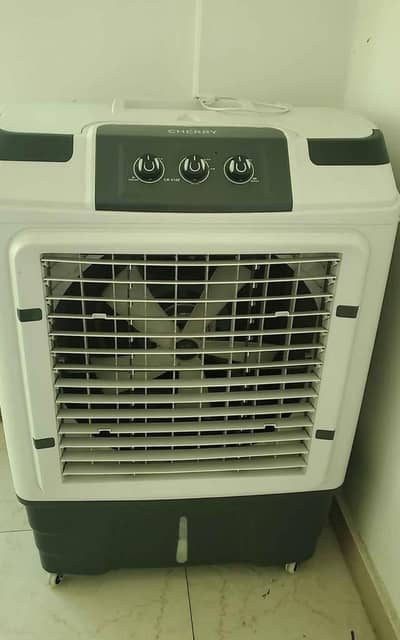 Cherry air Cooler with 6 ice packs 100 liters CR-5100