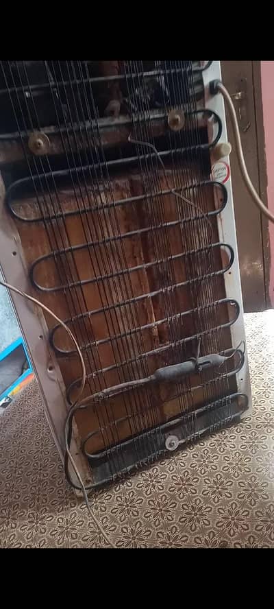 بالکل سہی حالت میں ہے چلنے میں