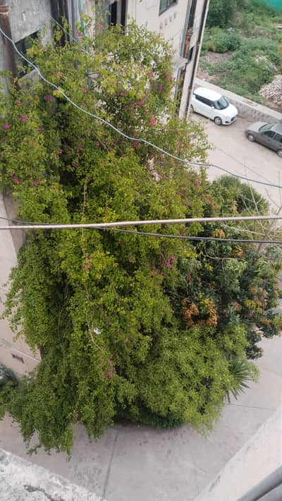 C TYPE 3 BEDROOM PHA APARTMENT G 11/3