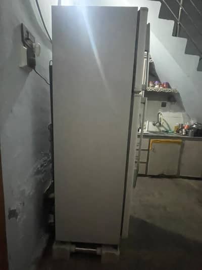 Dowlence refrigenerator